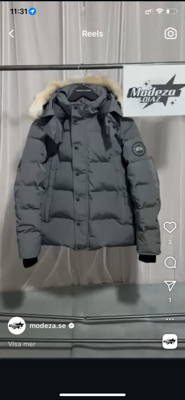 Grey Black label size L 1-3 days